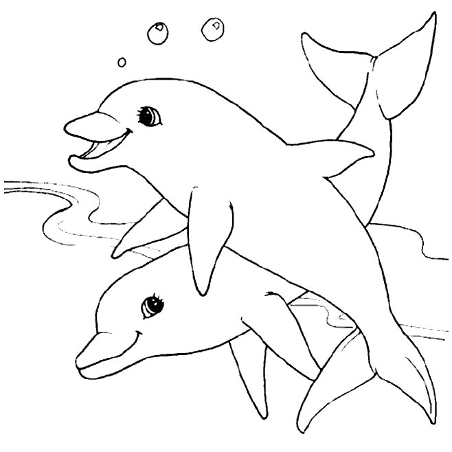 coloriage couple de dauphins